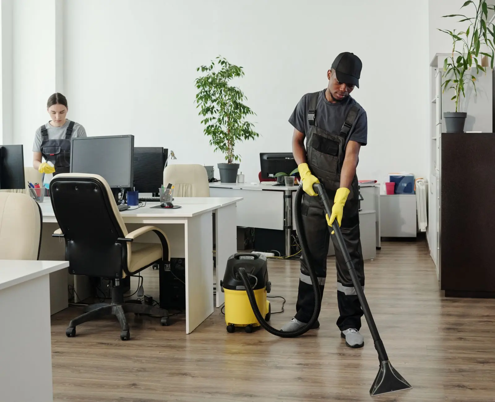 professional cleaning services