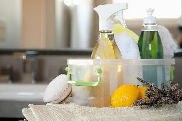 ecological cleaning products